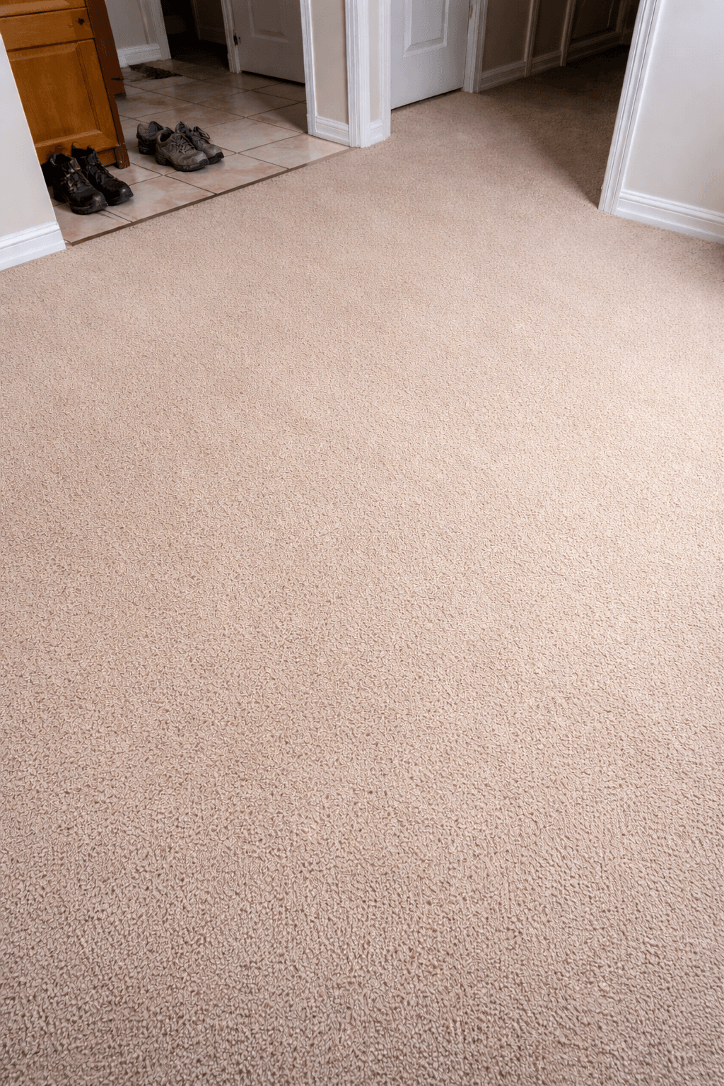 Tapis après nettoyage